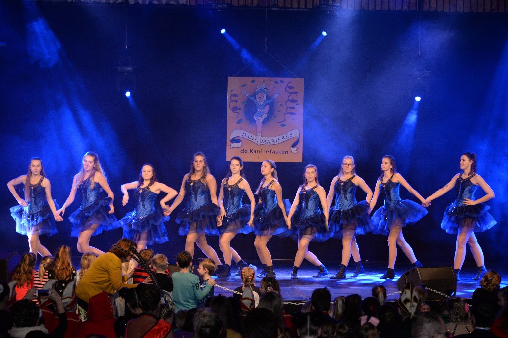 ../Images/Dansmariekefestival 2019 428.jpg